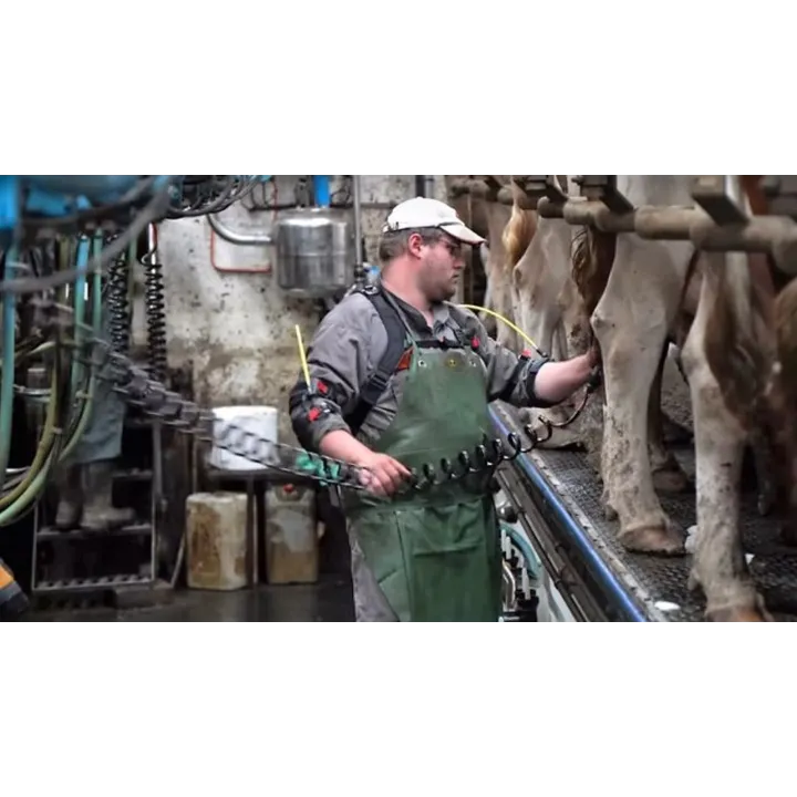 HAPO MS exosquelette ERGOSANTE posture à risque