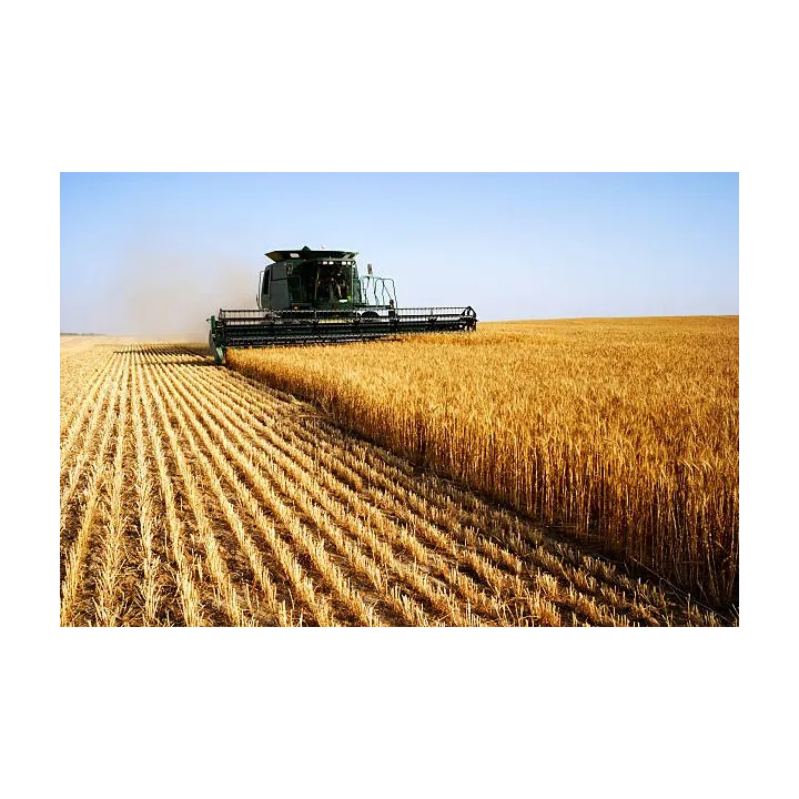 Balise Antivol autonome KHIKO sans abonnement MB