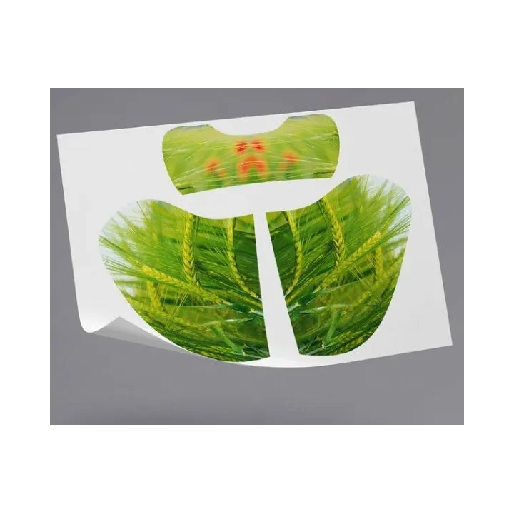 VARIANT Nu OCOVAGRI P2 + 100 filtres jetables + Stickers