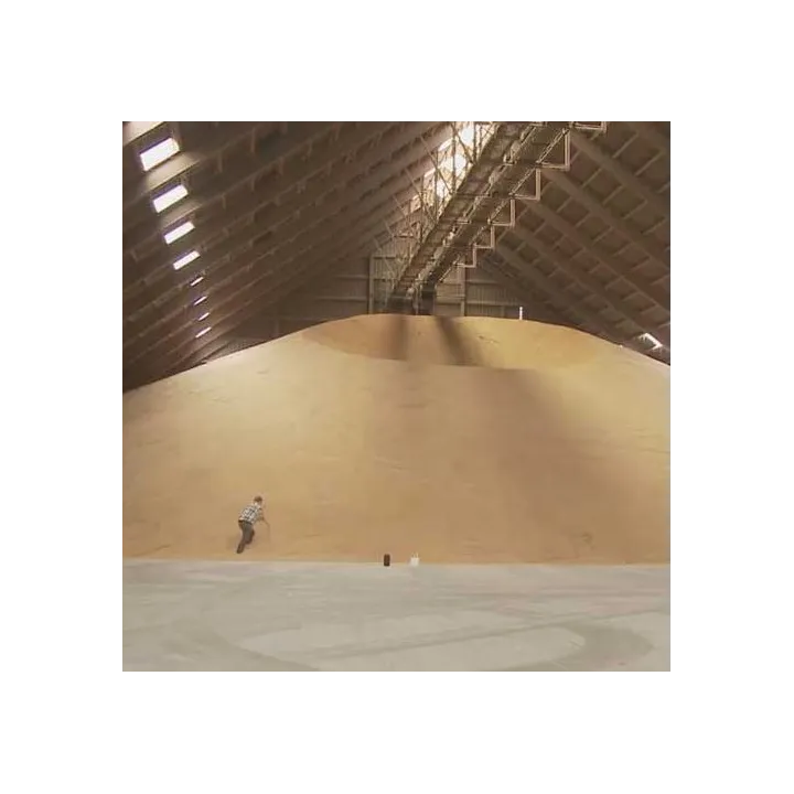 Prise d'échantillon de céréale