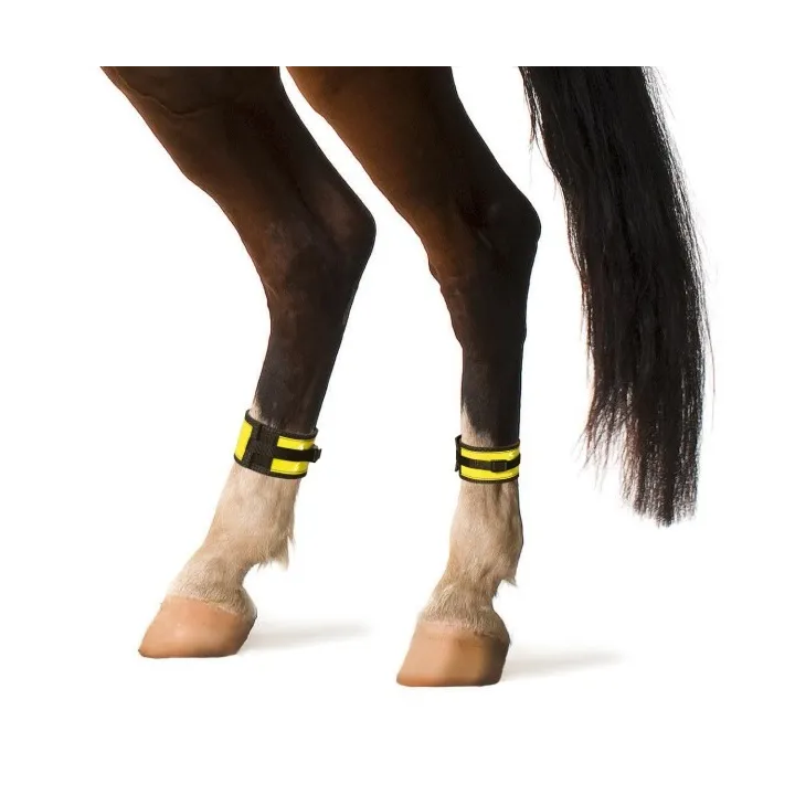 Paire de guêtre équitation réfléchissante jaune
