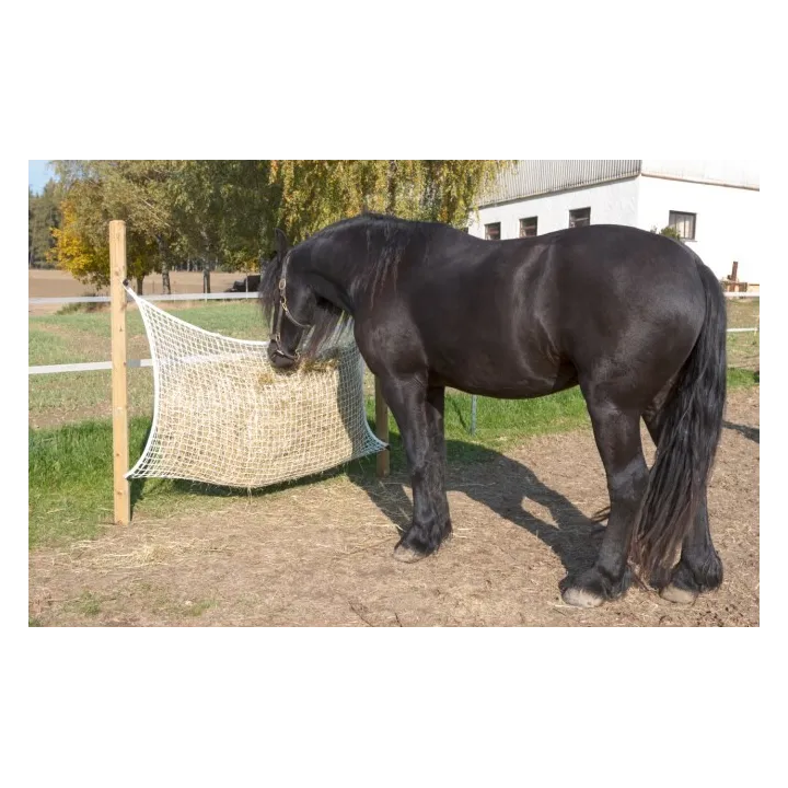 Filet à foin alimentation adaptée maille de 3 X 3 cm cheval