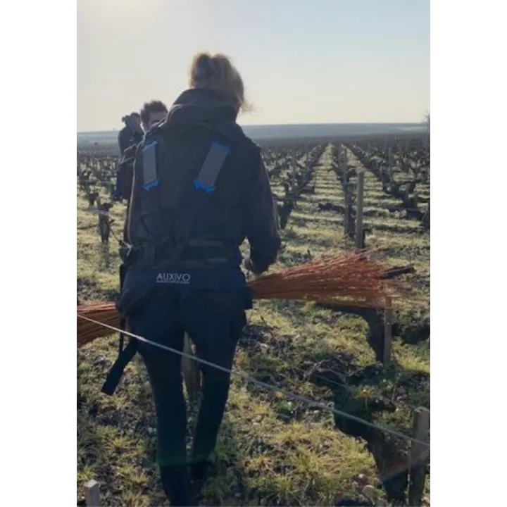 Exosquelette posture léger et confortable LiftSuit 2.0 taille de la vigne