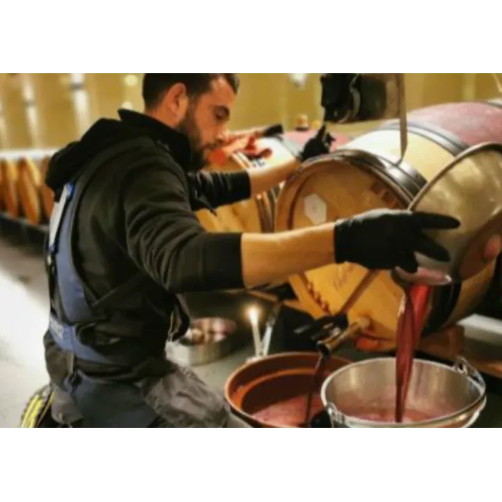 Exosquelette posture léger et confortable LiftSuit 2.0 chai