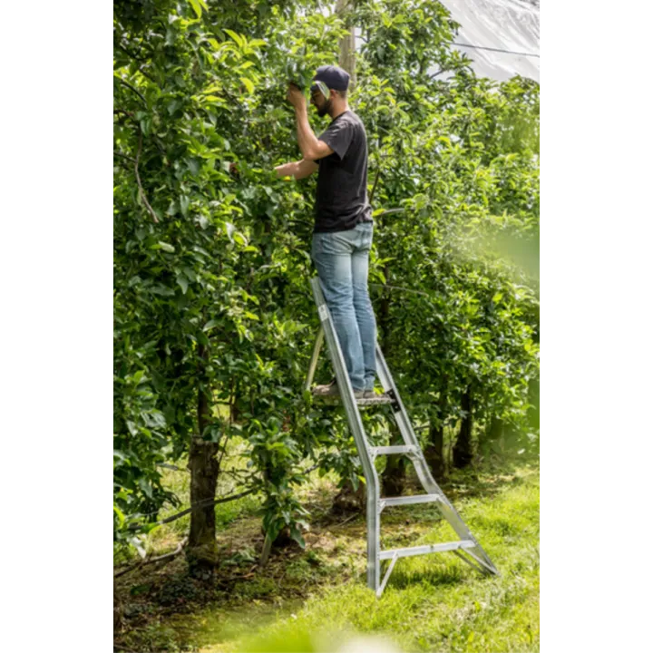 Échelle plateforme fruitière tripode arboriculture FEE 4 vergers