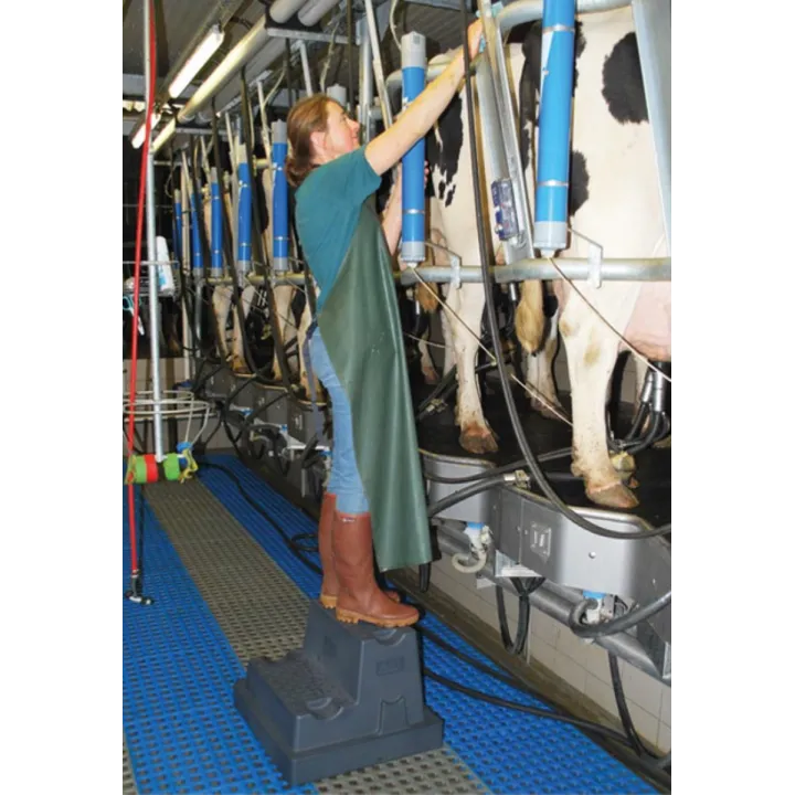 Marche pied mobile 2 marches milieu humide et élevage LA GEE à la traite