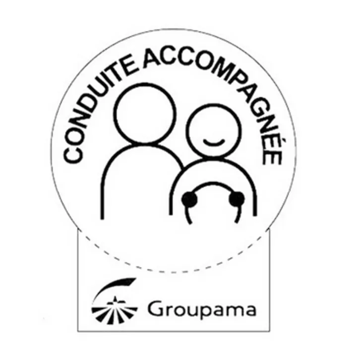 Disque conduite accompagnee