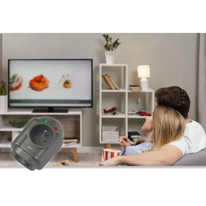 Parasurtenseur parafoudre Lan internet protection électrique INFOSEC dans la maison