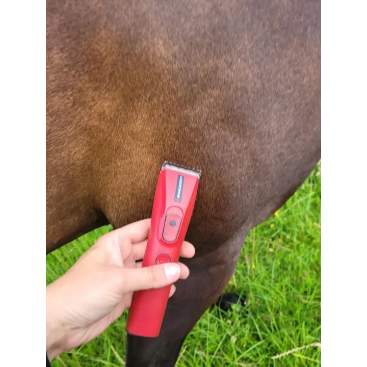 Tondeuse NOVA chevaux spécial finition concours LIVERYMAN