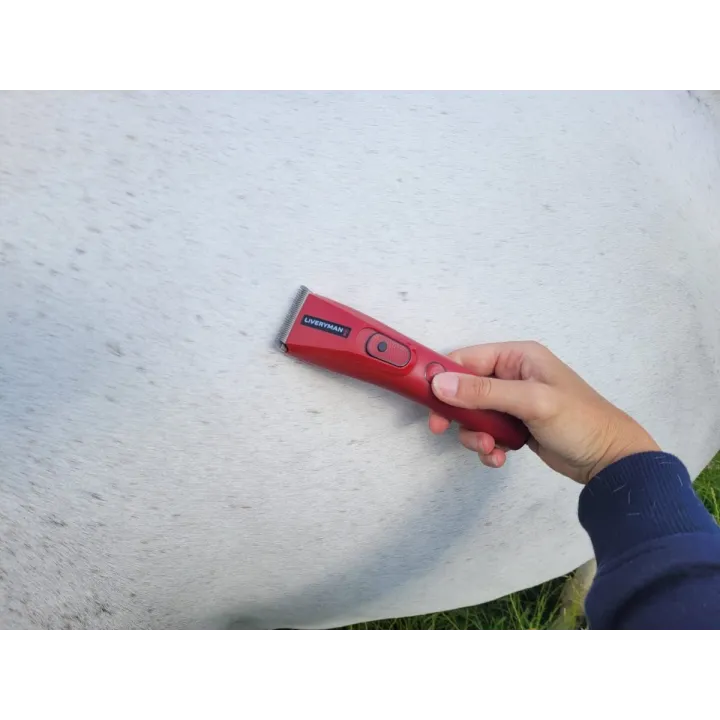 Tondeuse NOVA chevaux spécial finition concours LIVERYMAN