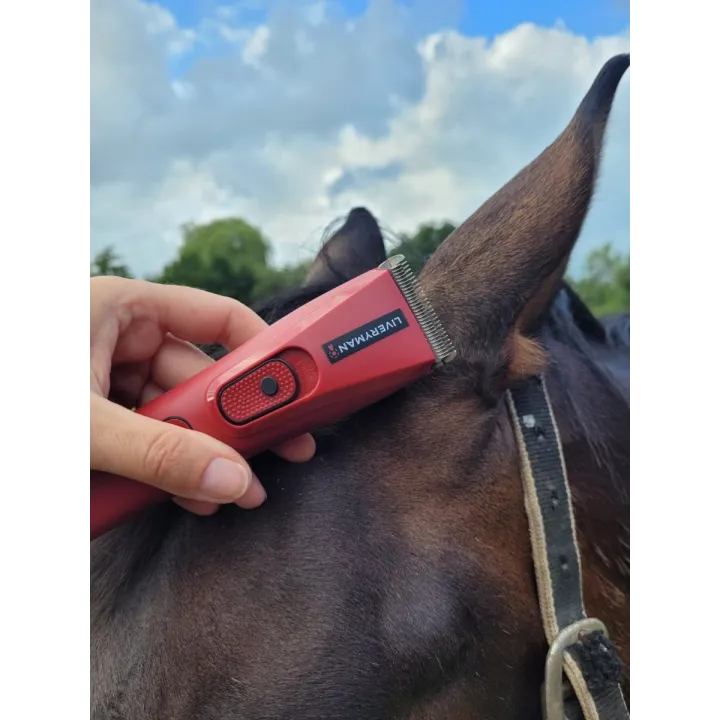 Tondeuse NOVA chevaux spécial finition oreille LIVERYMAN