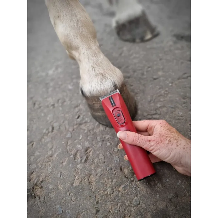 Tondeuse NOVA chevaux spécial finition patteLIVERYMAN
