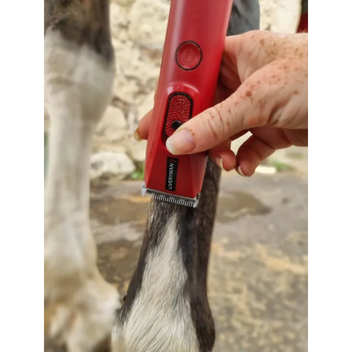 Tondeuse NOVA chevaux spécial finition patte LIVERYMAN