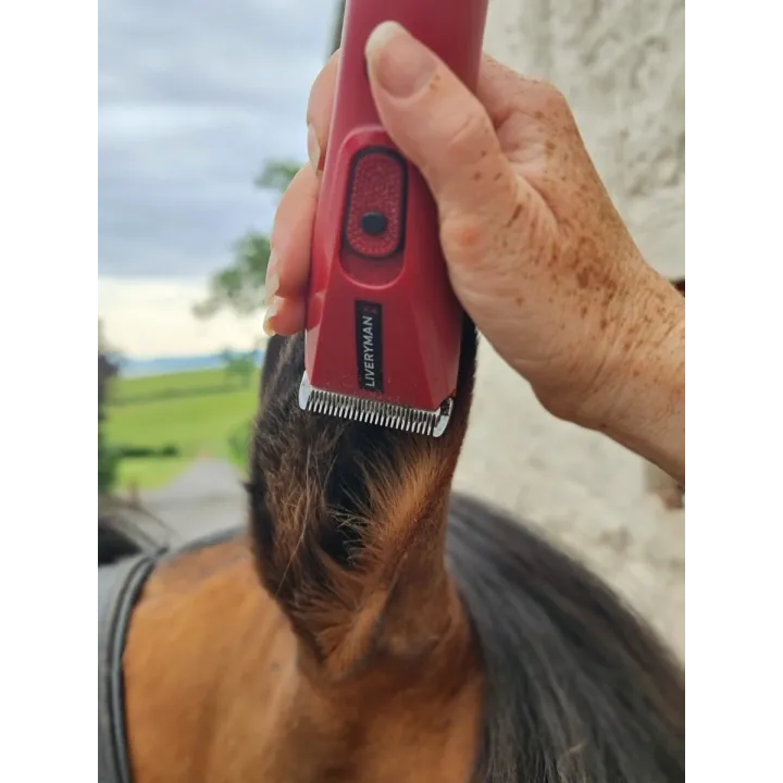 Tondeuse NOVA chevaux spécial finition oreille LIVERYMAN