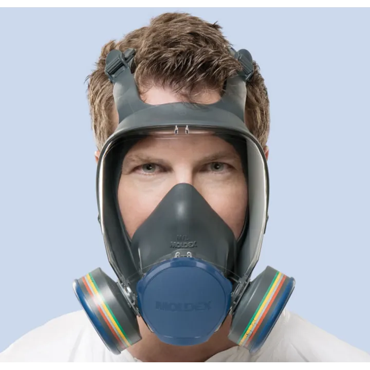 Masque complet à cartouche MOLDEX 9000 porté