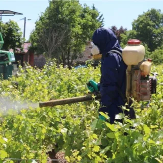 Traitement avec la Combinaison imper respirante phytosanitaire lavable POLYAGRI