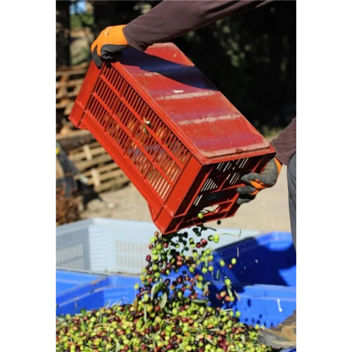 CNTT 34 Litres caisses empilables couleur brique olive