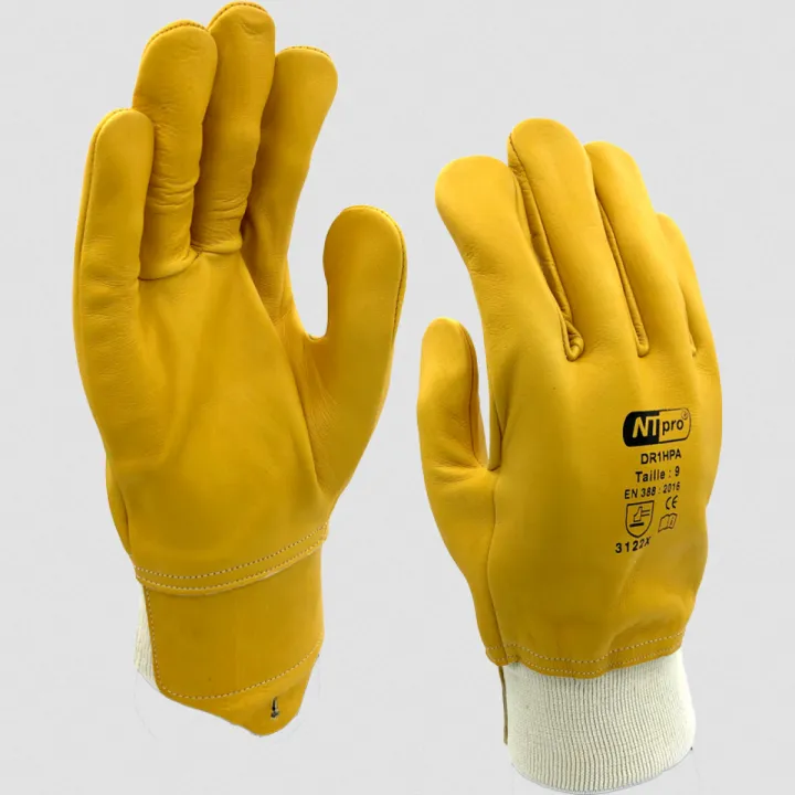 Gant ronce rosier débroussaillage cuir