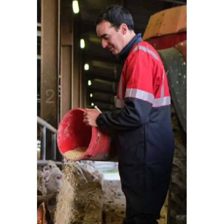 Combinaison de travail 2df VISIBILITY anti happement taille standard