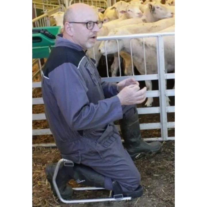 Homme utilisant le siège ergonomique élevage mouton