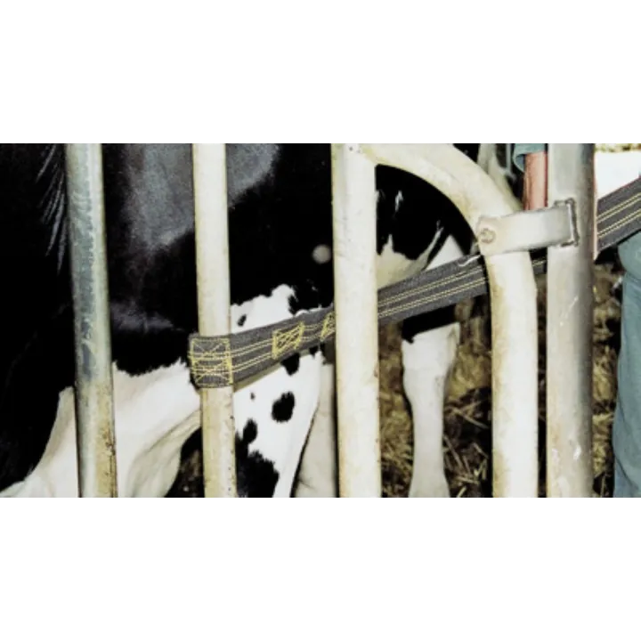 anti coup-de-pied sangle SECURITEX manutention bovin