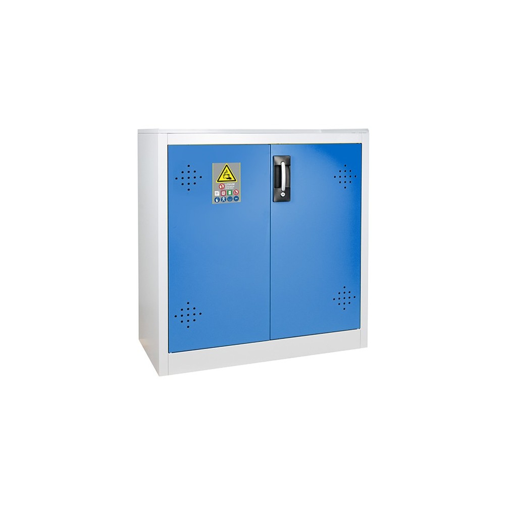 AZ111BLI Armoire 2 portes pour stockage et recharge de batteries lithium TRIONYX
