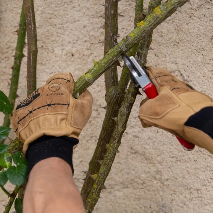 Renfort paume et doigts haute résistance