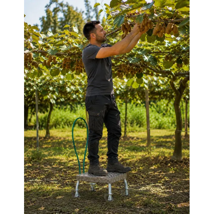 Estrade tout terrain ROMINY spéciale récolte kiwi et vergers