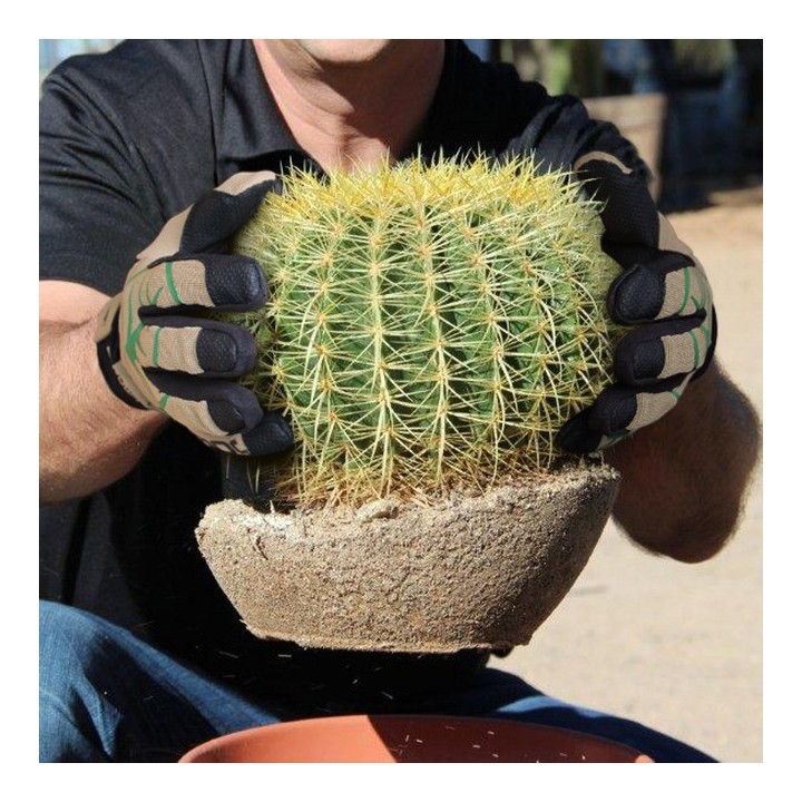 Gant anti-épines et piqures HexArmor® ThornArmor® 3092 - cactus