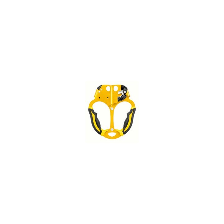 Bloqueur double Petzl ASCENTREE pour l’élagage PTZB19AAA | Secura