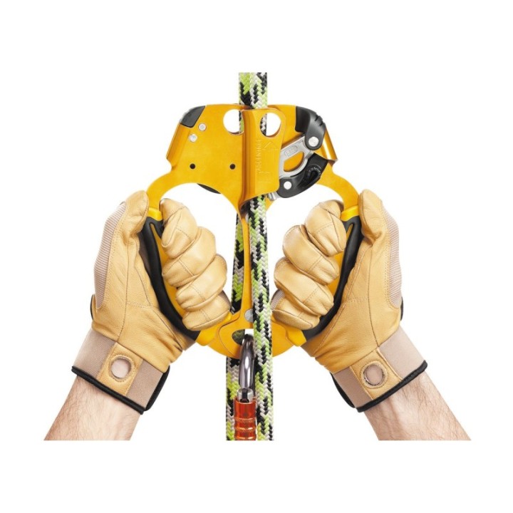 Bloqueur double Petzl ASCENTREE pour l’élagage PTZB19AAA | Secura