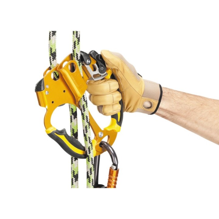 Bloqueur double Petzl ASCENTREE pour l’élagage