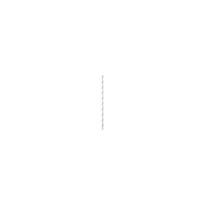 Cordelette technique SEGMENT 8 mm PETZL – vue de face