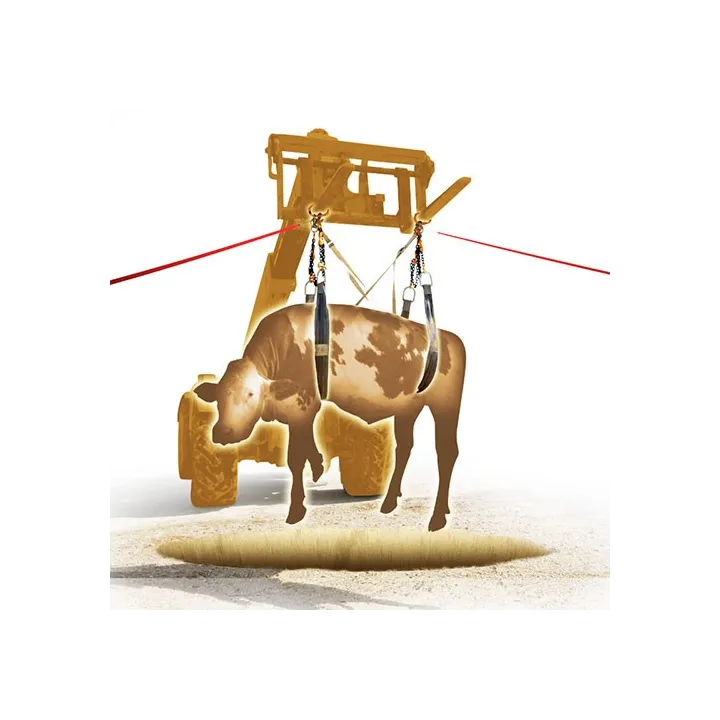 sangles de levage pour animaux 2tonnes