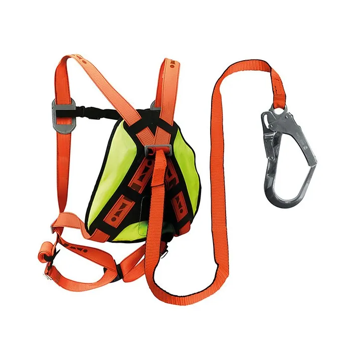 Kit antichute harnais longe mousqueton et sac de transport
