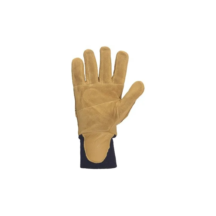 Gants forestier épineux BERBERIS 3234 Solidur