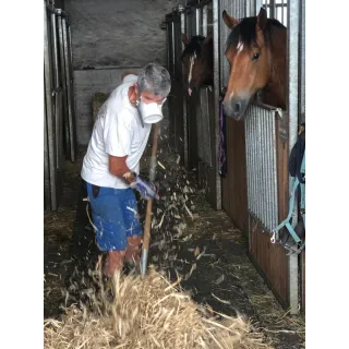Homme écurie masque MASQU'AGRI