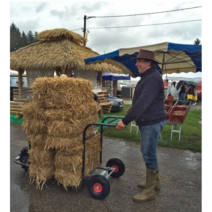 Chariot électrique TRANSPORTEUR SIMPLE ZOETTE transport matériaux